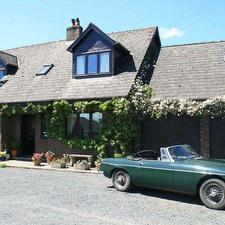 Ty Carreg Panzió Llanwrtyd Wells Kültér fotó