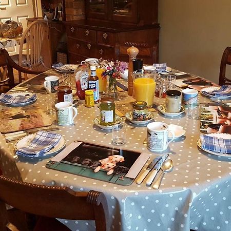 Ty Carreg Panzió Llanwrtyd Wells Kültér fotó