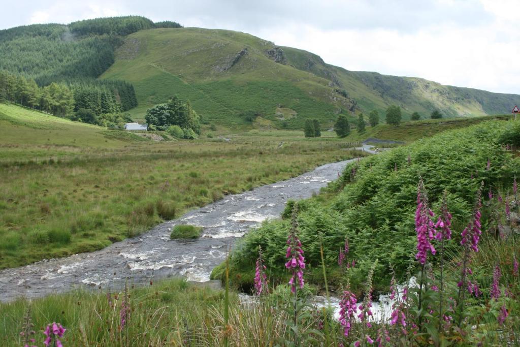 Ty Carreg Panzió Llanwrtyd Wells Kültér fotó