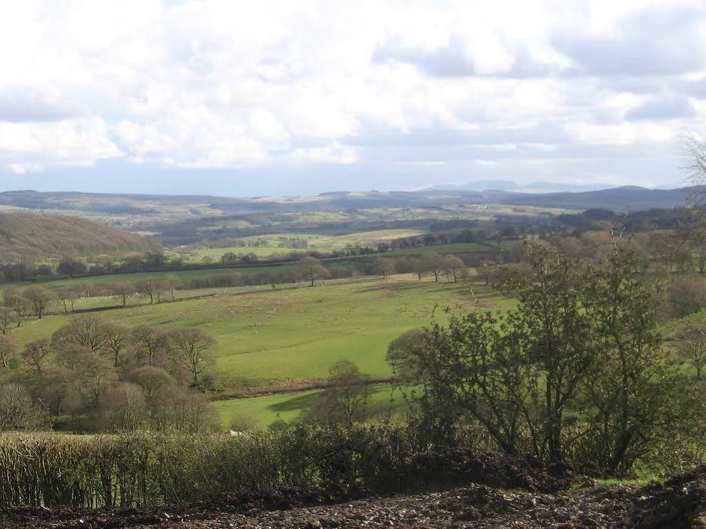 Ty Carreg Panzió Llanwrtyd Wells Kültér fotó