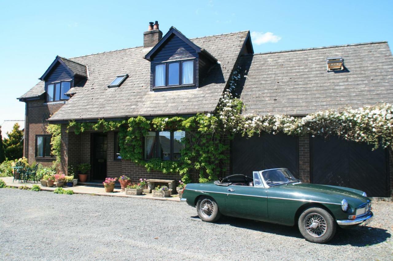 Ty Carreg Panzió Llanwrtyd Wells Kültér fotó