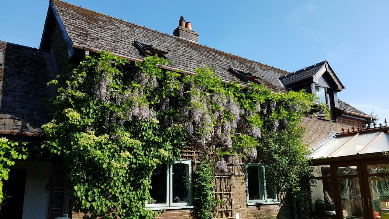 Ty Carreg Panzió Llanwrtyd Wells Kültér fotó